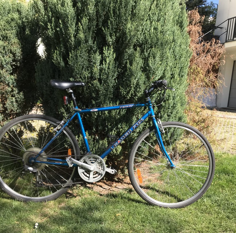 boho bike